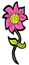 Pink flower