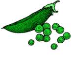 pea.gif - 5.1 K