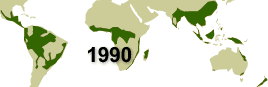 How the Rainforest is Disappearing